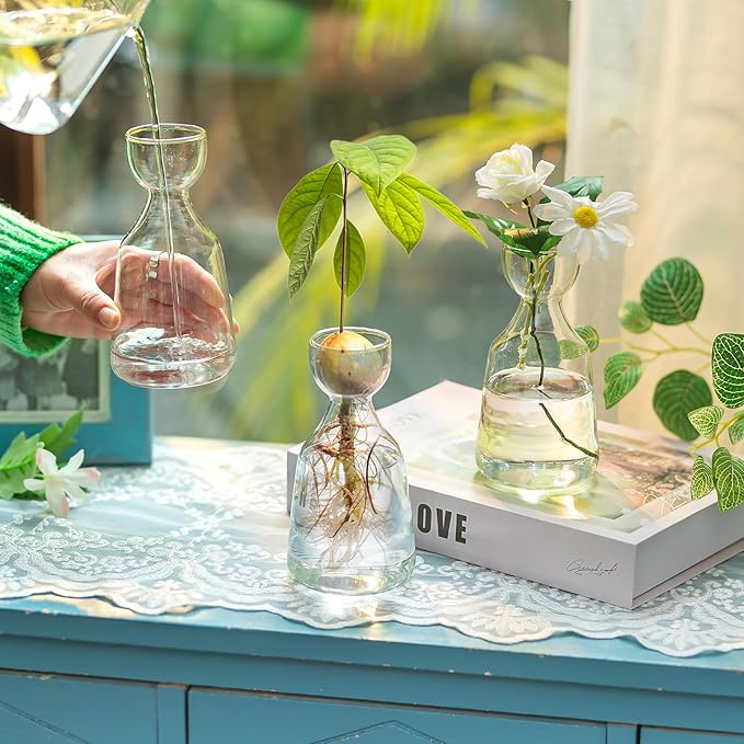 Glasseam Avocado Glass Vase, Handmade Bud Vases Set of 12, Cute Acorn Bulb Small Vase, Clear Flower Vases for Centerpieces, Hydroponic Propagation Plant Vase for Flowers Living Room Dining Table Decor