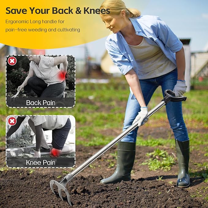 Potato Hand Rake Garden Tool - 62" Long Handle Cultivator Weeding Rakes, 3-Tine Heavy Duty Carbon Steel with D Grip for Raised Garden Beds,Flower Bed,Soil Grass Yard Gardening