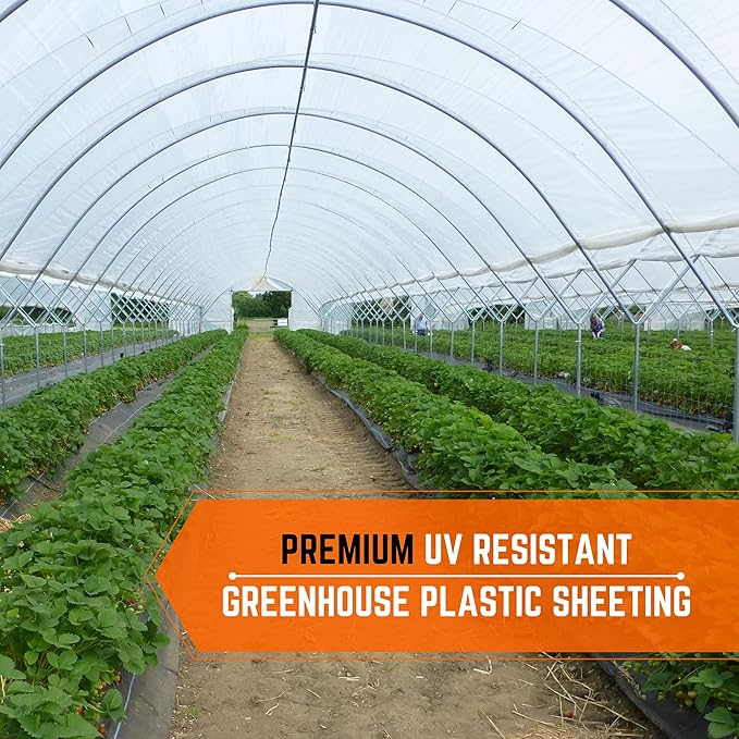 Farm Plastic Supply - Clear IRAC Greenhouse Plastic Sheeting - 6 Mil - (24' x 10') - 4 Year UV Resistant Infrared Anti-Condensate Green House Covering Thermal Greenhouse Plastic 6 mil