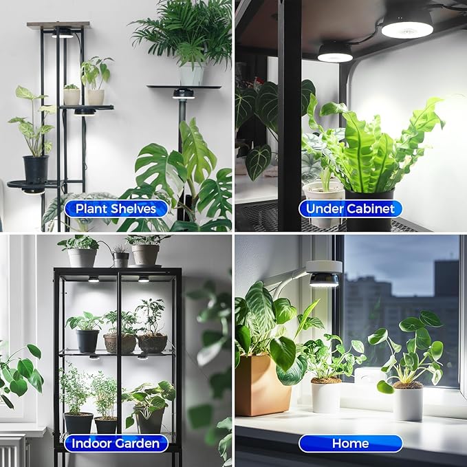 Barrina Orbgrow OG09 Puck LED Grow Light, 5000K 54W(6 x 9W, 810 Watt Equiv), Plant Lights for Indoor Plants Full Spectrum, Magnetic & Linkable, Small Grow lamp, Perfect for Plant Shelf, 6 Packs, Black