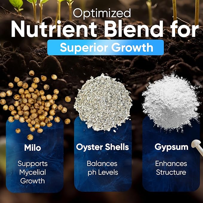 Surfin' Spores Mushroom Growing Grain Jars, Sterilized Hydrated Grain Spawn | 32 oz Glass Jars w/Self-Healing Injection Ports & Filter | Milo, Oyster Shell, & Gypsum Blend | 1 lb Per Jar (Two Pack)