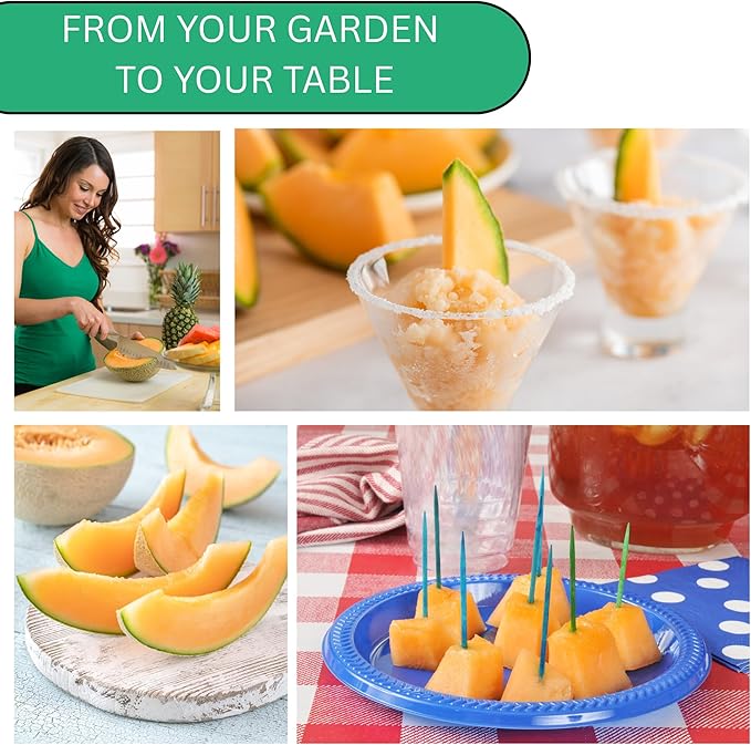 Hales Best Jumbo Cantaloupe Melon Seeds for Planting - Over 130 Heirloom Non-GMO Cantaloupe Seed for Planting - Beginner Friendly Fruit Seeds for Home Gardening