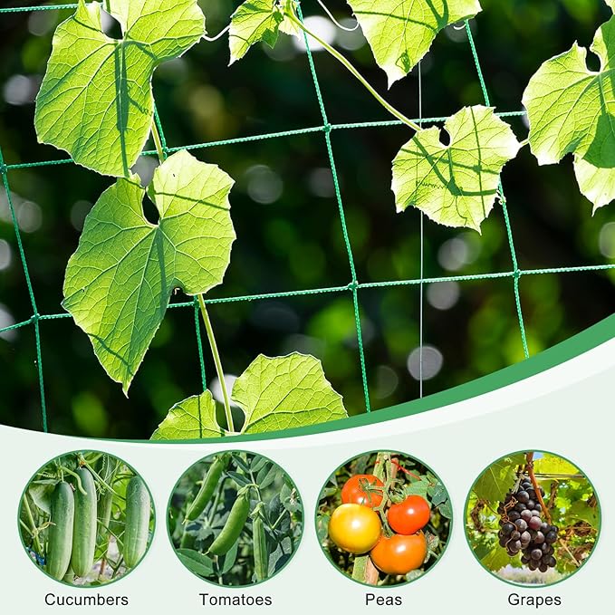 HARFINGTON Trellis Netting for Climbing Plants 6.6 x 16.4ft 27 Strands Heavy Duty Garden Trellis Netting Polyethylene Plant Support Net with 4" x 4" Mesh for Fruits Vegetables Cucumber