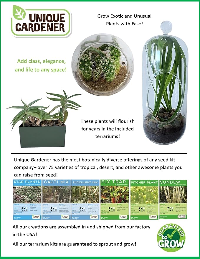 Sedum Succulent Carefree Capsule Terrarium Kit - DIY Indoor Hanging or Standing Garden Starter Set with Complete Supplies, Easy to Grow Terrariums for Home Decor! (Stunning Sedum)