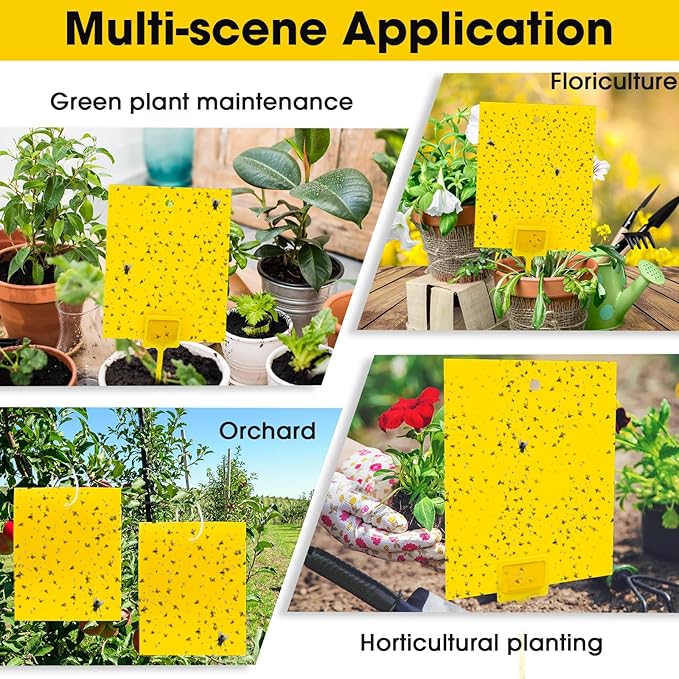 Qualirey 200 Pcs 7.87 x 9.84 Inches Yellow Sticky Traps for Plant Gnats Dual Sided Fruit Fly Sticky Traps for Indoors and Outdoors with Twist Ties and Plastic Holders for Plant Insect, Fungus Gnats