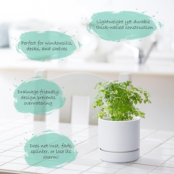 Phoenix Vine 4 Inch Planter Pot with Drainage Hole & Saucer, Deep Water Catch Tray, Straight Cylindrical Round Pot for Plants, Matte White, Pack of 4, 23-B-R-4