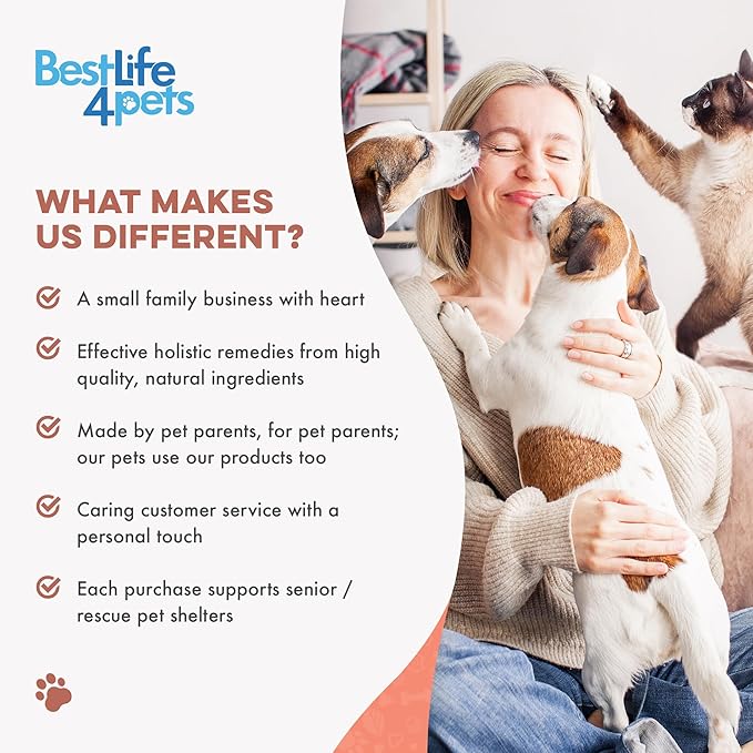 Mange Support for Cats, Natural Ear Mite & Cat Itchy Skin Relief, Relieves Welts, Scabs, Red and Flaky Skin, Shedding, Patchy Fur and Excessive Grooming, Total Cat Skin and Coat Care, 400 Tiny Pills