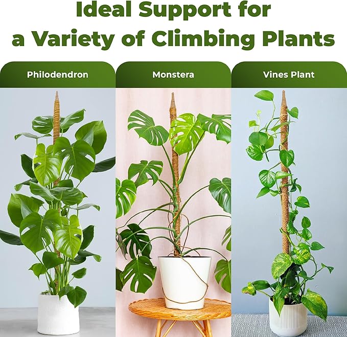 2 Pack 48 Inch Bendable Moss Pole Monstera Plant Support Stakes for Indoor Plants - Tall Moss Stick Trellis for Potted Climbers - Stem Support Accessories for Climbing Houseplants