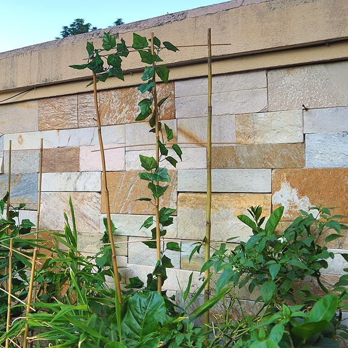 10 Pack 4ft Bamboo Trellis for Climbing Plants-Natural Garden Ladder Trellis, Fan -Shaped Support Trellis for Potted Plant Decor in Door