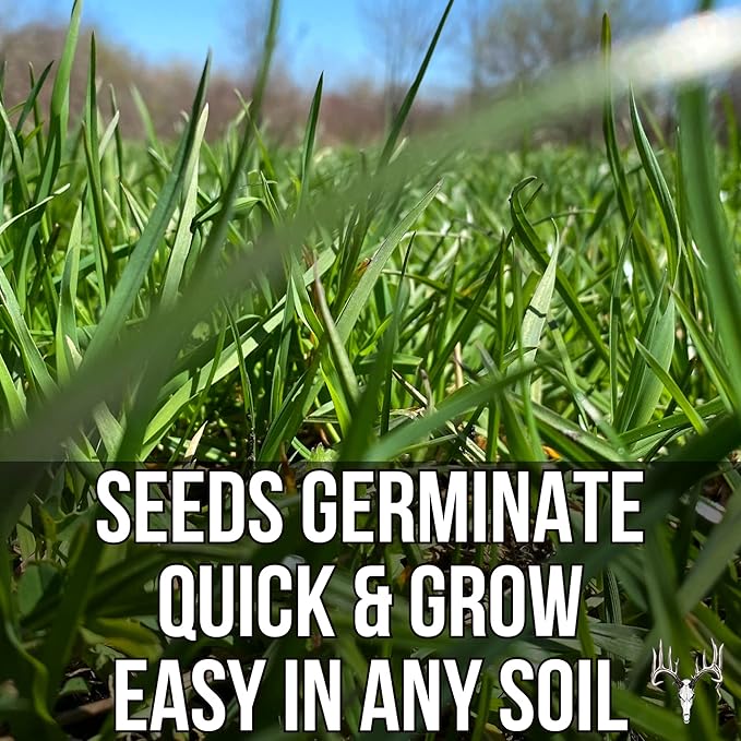 Memas Moo Mix, 25LB Bulk, Farm Pasture Seed Blend for Horse, Cattle, Pig, Goat, Chicken, Duck, Sheep & Livestock, Grow Alfalfa & Perennial Grasses Fields, Graze Resistant, Cold Tolerant