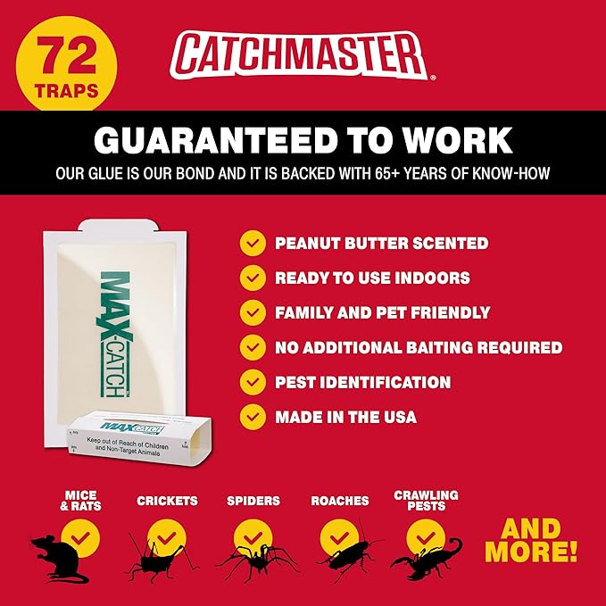 Catchmaster Max-Catch Mouse & Insect Glue Trap 72pk, Mouse Traps Indoor for Home, Sticky Pest Control Adhesive Tray for Catching Bugs, Non Toxic Bulk Pre-Baited Glue Boards