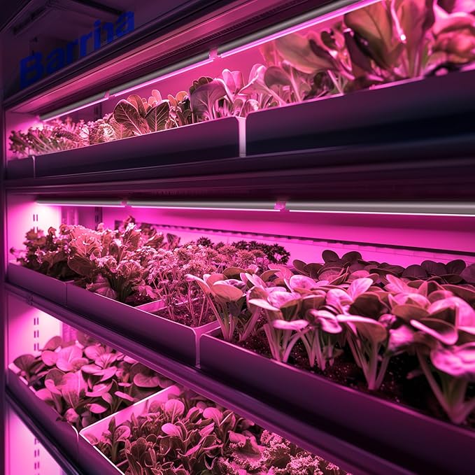 Barrina LED Grow Lights for Indoor Plants, T8 2FT 96W(4 x 24W, 600W Equivalent), Full Spectrum, V-Shape with Reflector Combo, Grow Light Fixture, 4-Pack