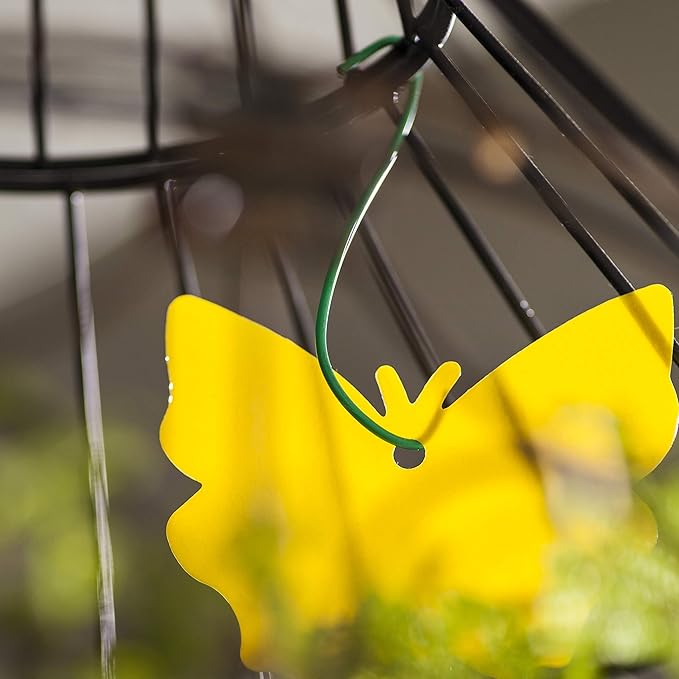 Trappify Sticky Gnat Traps for House Indoor - Yellow Fruit Fly Traps for Indoors|Outdoor Plants | Insect Catcher for White Flies, Mosquitos, Fungus Gnats | Disposable Glue Fly Trap Indoor (12 Pack)