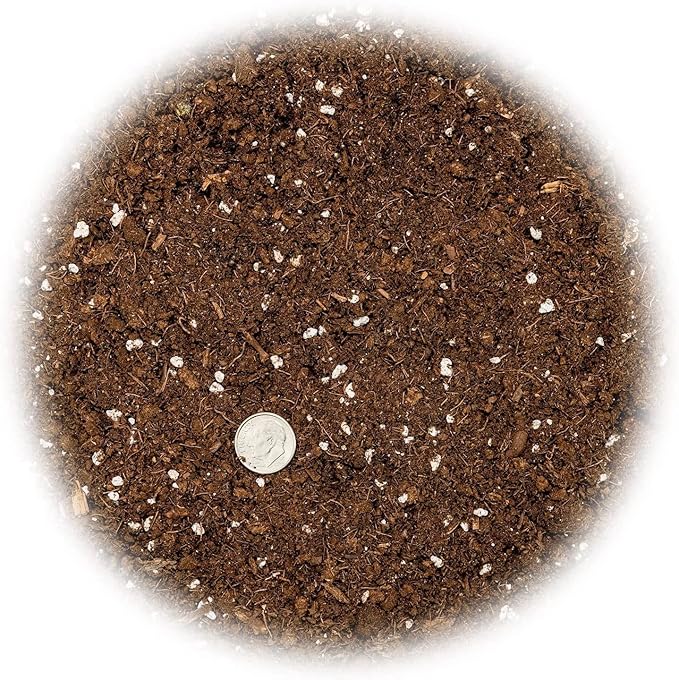Fiddle Leaf Fig Soil Mix - 20 Quart - Premium Blend of Peat Moss, New Zealand Bark, Coco Chips, and Perlite for All Purpose Planting - 4 Bags of 5 Quart