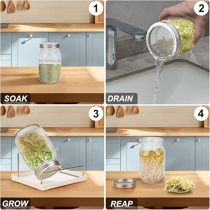 Lulonpon Sprouting Kit, 2 Sprouting Jar Kits, Wide Mouth Quart Mason Jars with Stainless Steel Screen Sprout Lids,1000ml Sprouts Growing Kit, Seed Sprouter Set for Growing Broccoli, Bean, Alfalfa