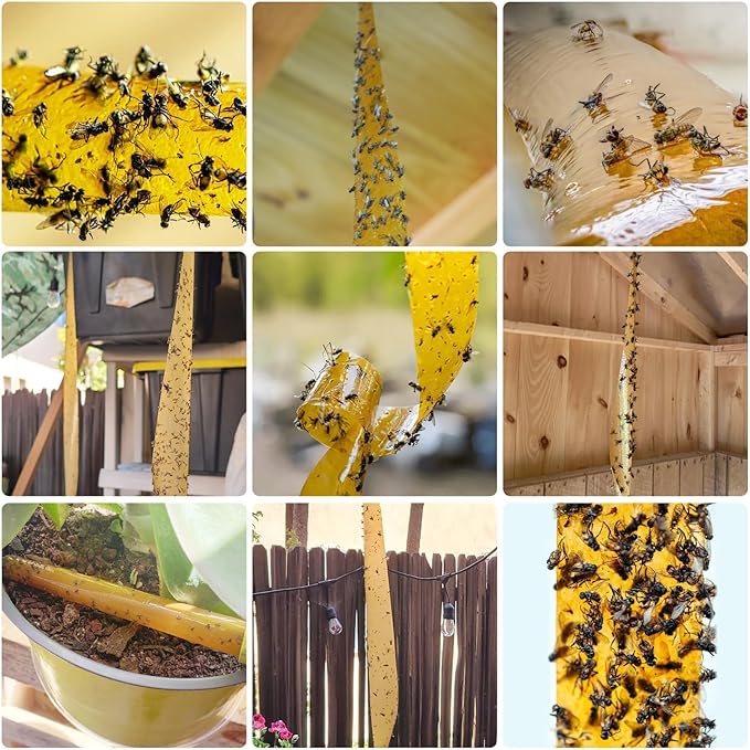 Glovv 24 Pack Sticky Fly Trap Indoor, Flies Strips Indoor Outdoor Hanging Paper Rolls for Home, Bug & Fruit Gnat Ribbons Tape Killer Catcher for Kitchen, Flying Insect Trap for Winged Insect, Mosquito