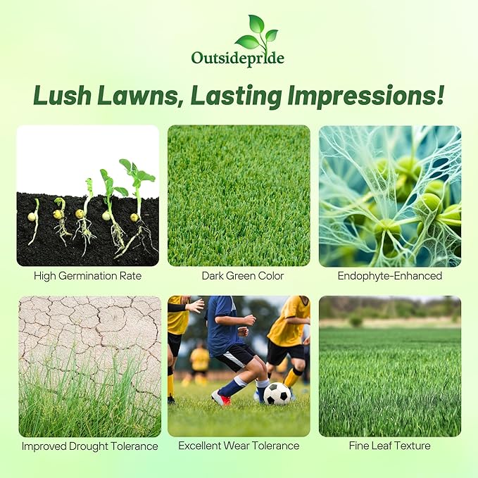 Outsidepride Fireball & Hattrick Rye Grass Seed Blend - 25 Lbs. Wear Tolerant, Fine Leaf Texture Perennial Rye Grass Seeds for Lawn, Sports Turf & More, OptiGrowth Coated for Better Establishment