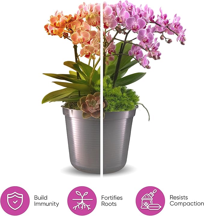 Molly's Orchid Potting Mix - Premium Gritty Soilless Orchid Mix - Chunky High Drainage vs Standard Potting Soil for Indoor Plants - Contains Bark, Coco Chips, Akadama, Pumice, Lava Rock 5 Dry Quarts