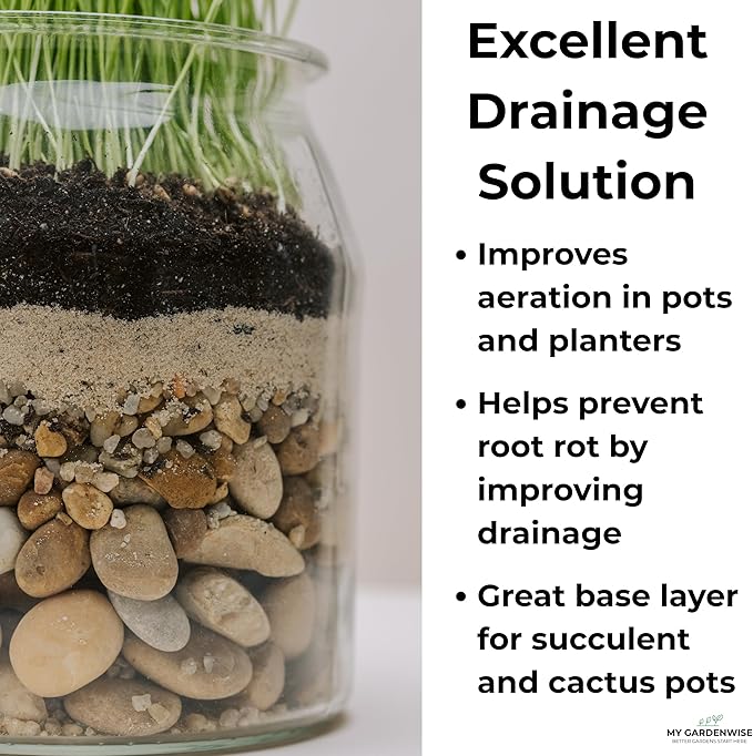 Fine Sand for Plants β Horticultural Sand for Succulents, Cactus, Potting Mixes, Terrariums & Decorative Indoor Gardens, Made in USA (1 Quart - 2.8 lbs)