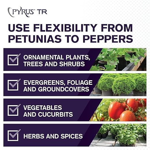 Atticus Pyrus TR Greenhouse Fogger (12 Pack) - Total Release Pyrethrin Insecticide/Miticide - Controls Mites, Thrips, Aphids, Whiteflies, Fungus Gnats (Packaging May Vary)