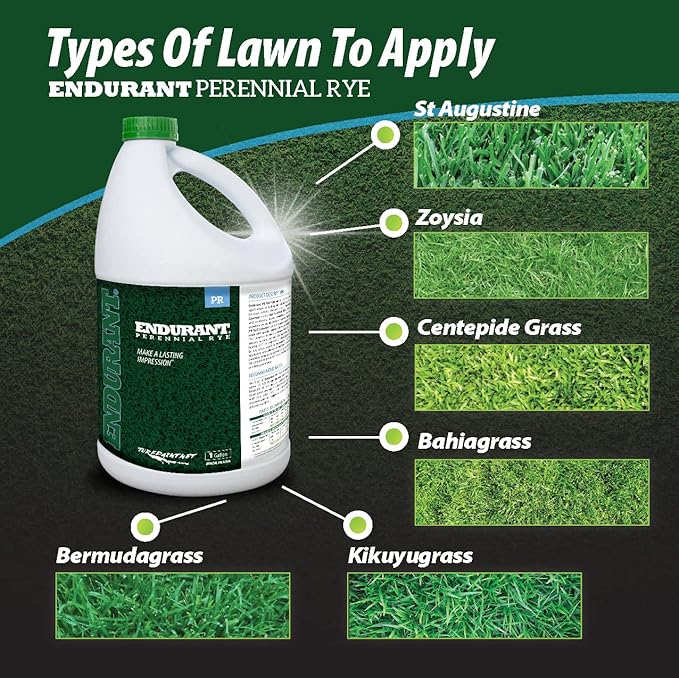 Endurant Turf Colorants - Perennial Rye Spray Green Grass Paint for Lawns - Revives Dry, Patchy Yards - Light Grass Hue - Easy to Use, Concentrated Turf Grass Dye - Covers Approx 10,000 Sq Ft - 1 Gal
