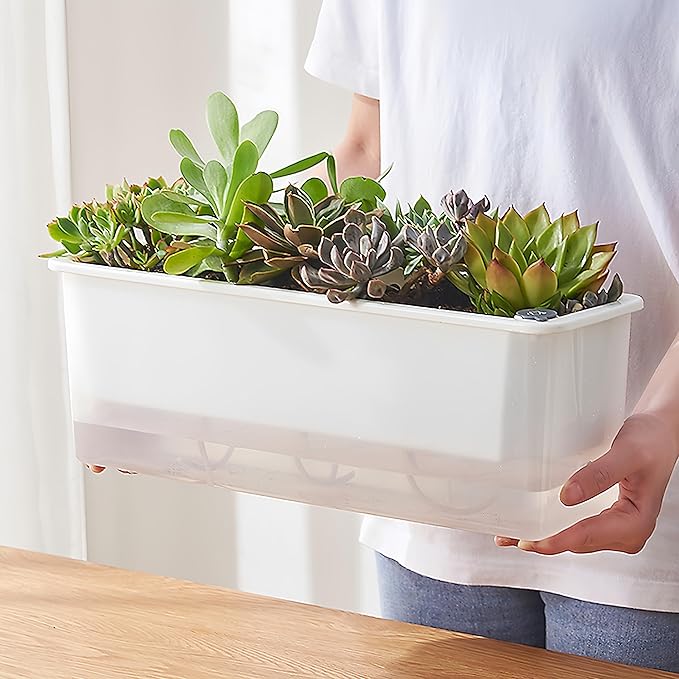 FAMZ Self Watering Pots - 3 Pack Transparent Rectangular Planting Pots for Indoor Plants - Suitable for Growing African Violets, Fruits, Vegetables, Flowers
