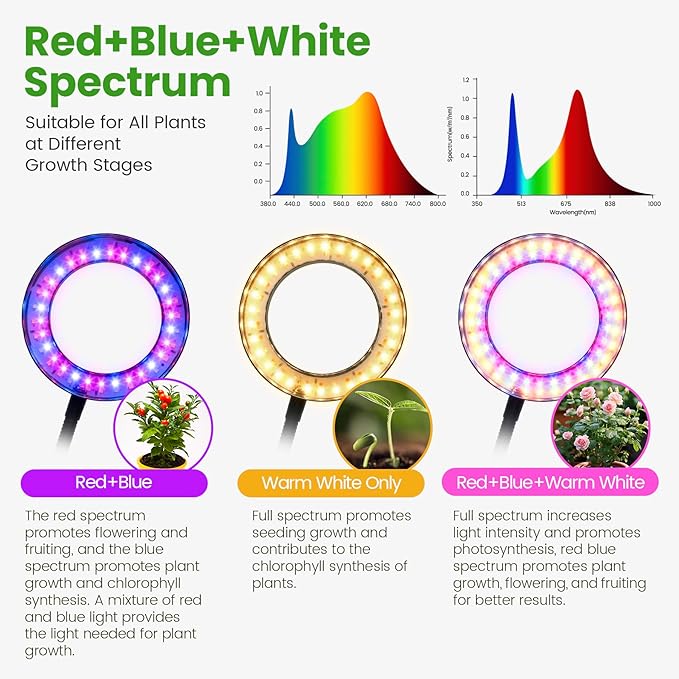 Desk Grow Lights for Indoor Plants, Red Blue UV Full Spectrum Desktop LED Plant Growing Lamps, Height Adjustable 14-24inch, 3/9/12H Auto Timer,10 Levels Dimmable, Black Table Growth Light