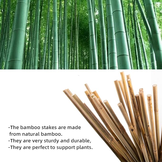 0.32”-0.4"/18Inch Garden Stakes, Natural Bamboo Sticks Plant Stakes for Indoor and Outdoor Plants,Poles for Tomatoes, Beans, Potted Plants(50Pcs)…