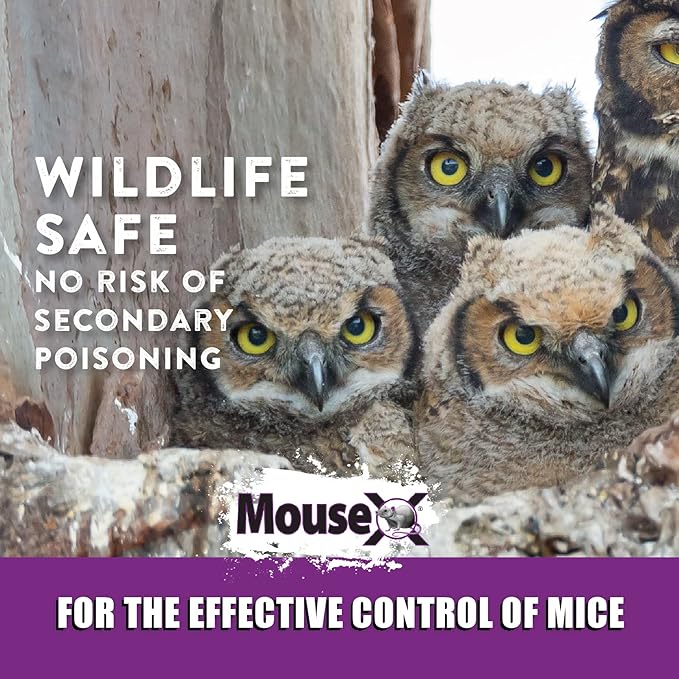 MouseX Throw Packs- for All Species of Rats Mice Safe Around Pets