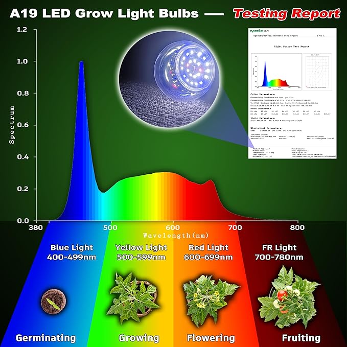 Full Spectrum Small Base E12 Candelabra Plant Grow Light Bulbs,Red Blue Yellow 5000K White Plant Growing Lamp Bulbs 10W with Balanced Spectrum for Indoor Seeds Greens Laboratory,School,Greenhouse,2Pcs