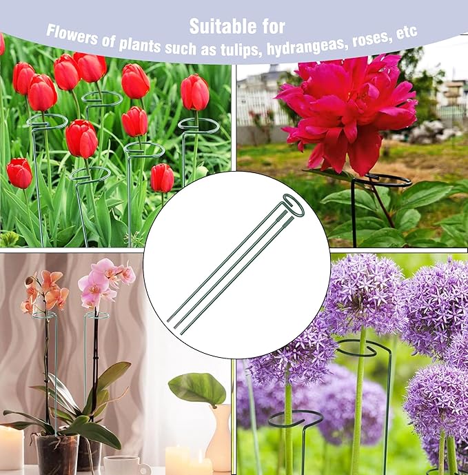 4.5mm Adjustable Length Plant Stake, Assembled (12 or 24 inch) Outdoor and Indoor Plant Support Poles for Flowers Marigolds Tomatoes Lilies Peonies Roses Daffodils Flower Clips (6 Sets, 18 Pcs)
