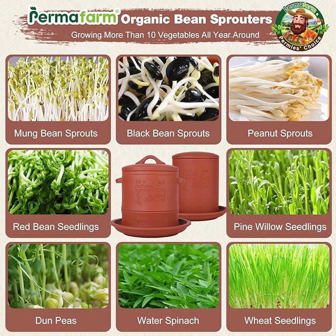 Permafarmยฎ Organic Bean Sprouter, Natural Earthen-Clay Mung Bean Sprouter, Sprouts Growing Kit for Soybeans, Broccoli, Alfalfa & More | Lead-Free, Cadmium-Free (Small Size for Individuals or Couples)
