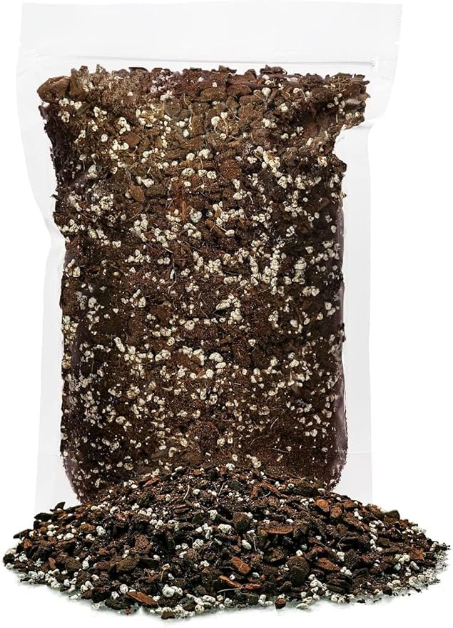 Premium Cat Grass Potting Mix - Provide Your Feline Friend with a Natural and Nutritious Snack - 1 Quart