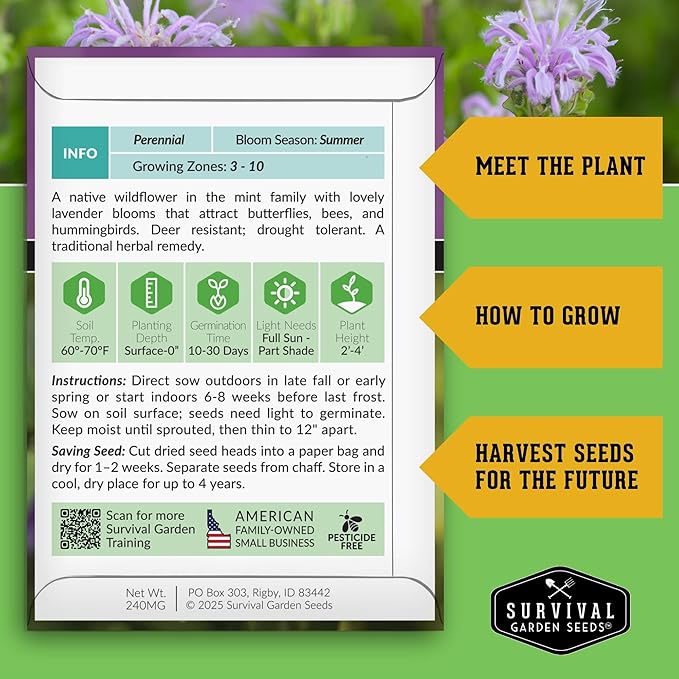 Survival Garden Seeds - Bergamot Herb (Bee Balm) Seed for Planting - 3 Packets with Instructions to Grow Monarda Fistulosa Wildflowers in Your Home Vegetable Garden - Non-GMO Heirloom Variety