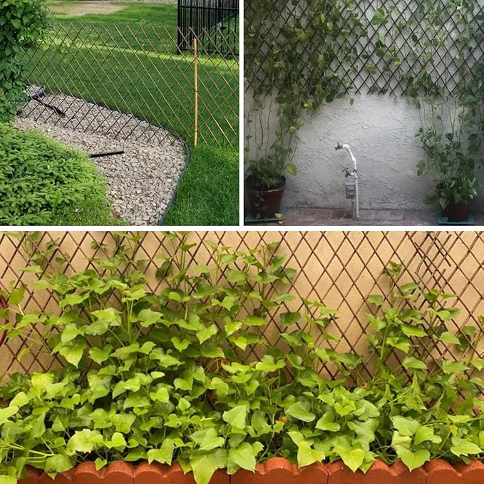 Expandable Willow Lattice Fence Panel Plant Support Garden Trellis Willow Trellis Fence for Climbing Plants Vine Ivy Rose Cucumbers Clematis Outdoors Garden Yard,36X92 Inch(4PC)