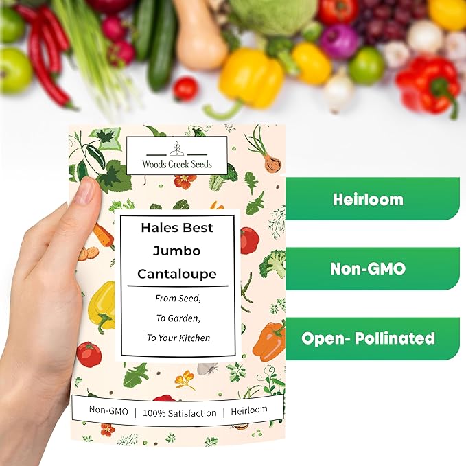 Hales Best Jumbo Cantaloupe Melon Seeds for Planting - Over 130 Heirloom Non-GMO Cantaloupe Seed for Planting - Beginner Friendly Fruit Seeds for Home Gardening