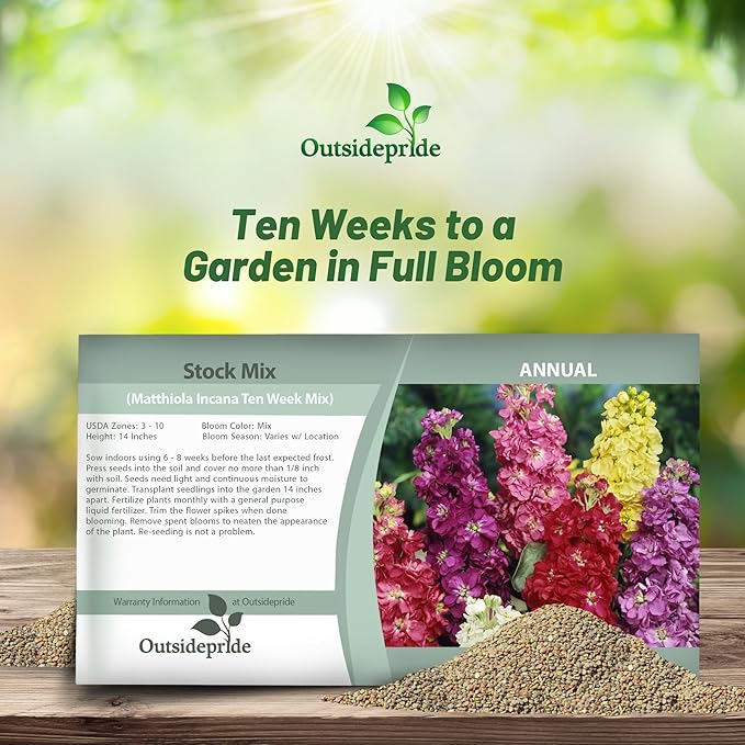 Outsidepride Ten Week Mix Mattiola Stock Seeds - 1000 Pcs Annual Flower Seeds for Planting with Fragrant Blooms That Attract Pollinators, Compact Growth, for Cut Flower Arrangements & Containers