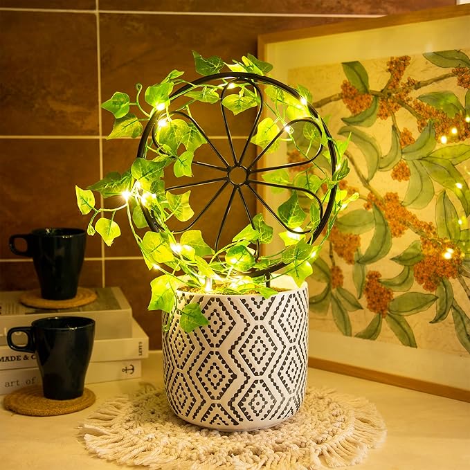 2 Pcs 14in Indoor Metal Garden Circle Plant Trellis for Houseplant Climbing Pot Plants, Black (Style B)