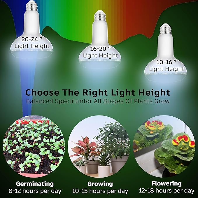 Full Spectrum BR30 Led Plant Grow Light Bulbs 15W 2000lm,E26 BR30 Floodlight Sun Plant Growing Lamp,200 Watt Equivalent,Balanced Spectrum 5000K Red Blue for Seeds Greens,Indore Garden, Hydroponic,2pcs