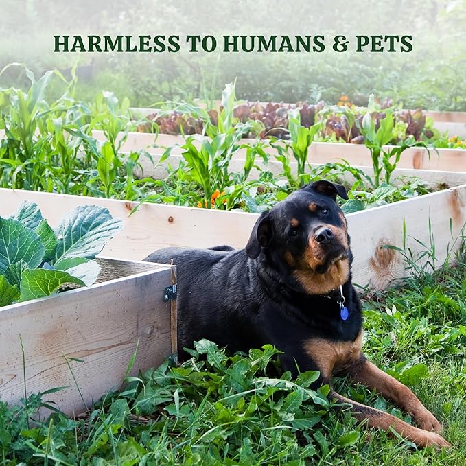 Pride Lands Defense - Organic Pest Control for Indoor & Outdoor Plants/Insect Repellent/Eliminate Mites, Gnats, Thrips, & Aphids/Safe for Pets & Children/Vegetable & Flowering Gardens, 2lb