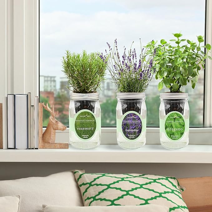 Hydroponic Herb Growing Kit Set, Self-Watering Mason Jar Herb Garden Starter Kit Indoor, Windowsill Herbs Garden, Grow Your Own Herbs from Organic Seeds (Rosemary, Lavender, Oregano)