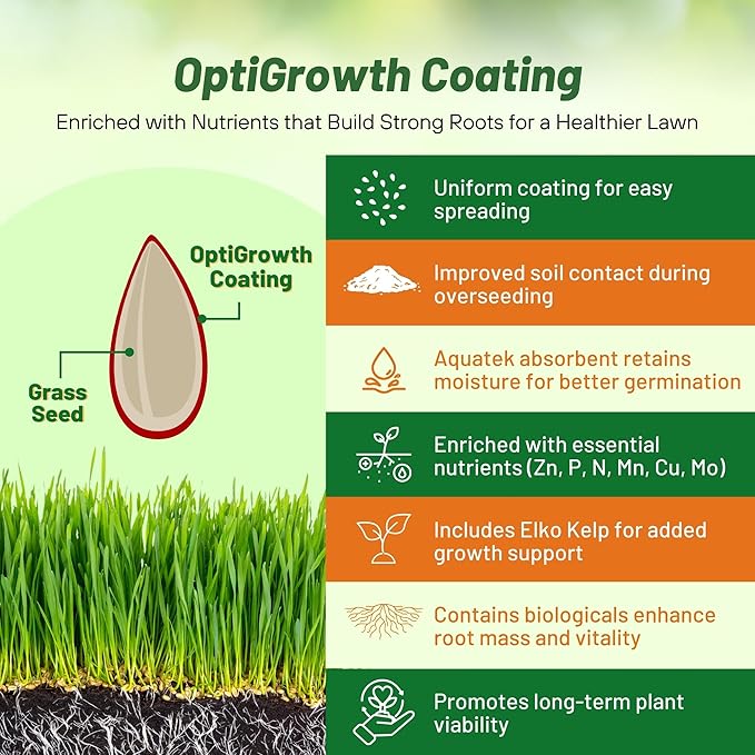 Outsidepride Fireball & Hattrick Rye Grass Seed Blend - 10 Lbs. Wear Tolerant, Fine Leaf Texture Perennial Rye Grass Seeds for Lawn, Sports Turf & More, OptiGrowth Coated for Better Establishment