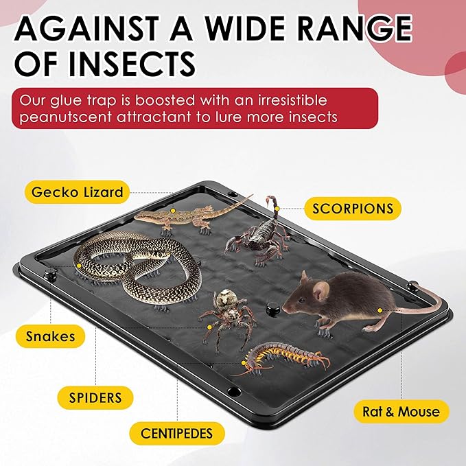 Qualirey Jumbo Rat & Mouse Glue Traps, 11.8 X 9.84 in Large Heavy Duty Mouse Traps Indoor for Home, Pre Scented Adhesive Plastic Tray with for Spider Trap, Snake, Mice, Children and Pet Safe(10 Pack)