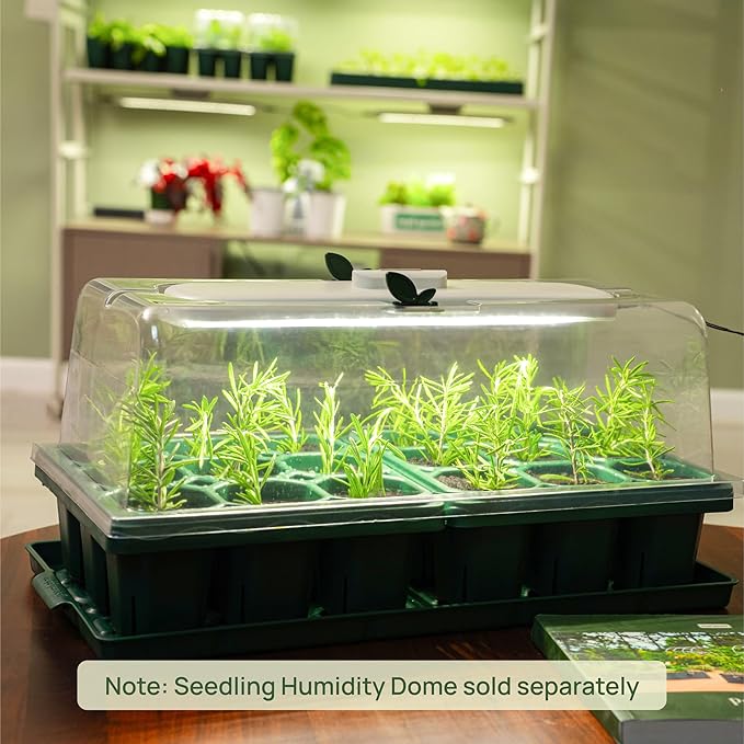 Vego garden Giga Seedling Trays - 16 Pack, 9-Cell UV-Resistant Reusable Starter Trays for Greenhouse/Garden (No Lids)