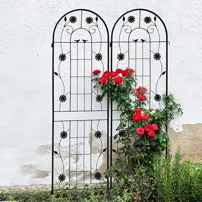 2 Pack Metal Garden Trellis for Climbing Plant Rose Stand, Black Outdoor 71'' Tall Flower Support Iron Garden Fence (Black 71''H