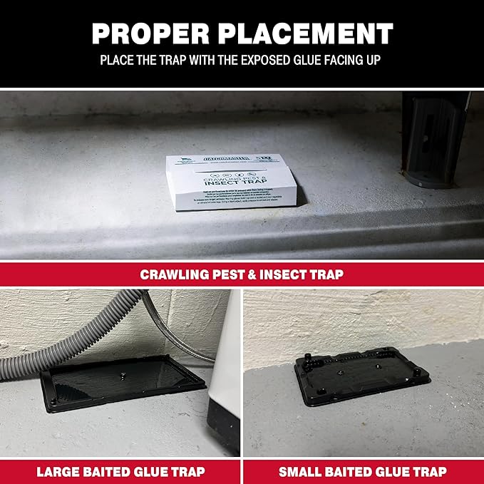 Catchmaster Glue Trap Variety Pack - 2 Mouse Trays, 2 Rat Trays, 4 Insect Glue Traps, Pet Safe Mouse Traps Indoor for Home, Pest Protection Kit for Basement & Garage, Rodent & Insect Pest Control