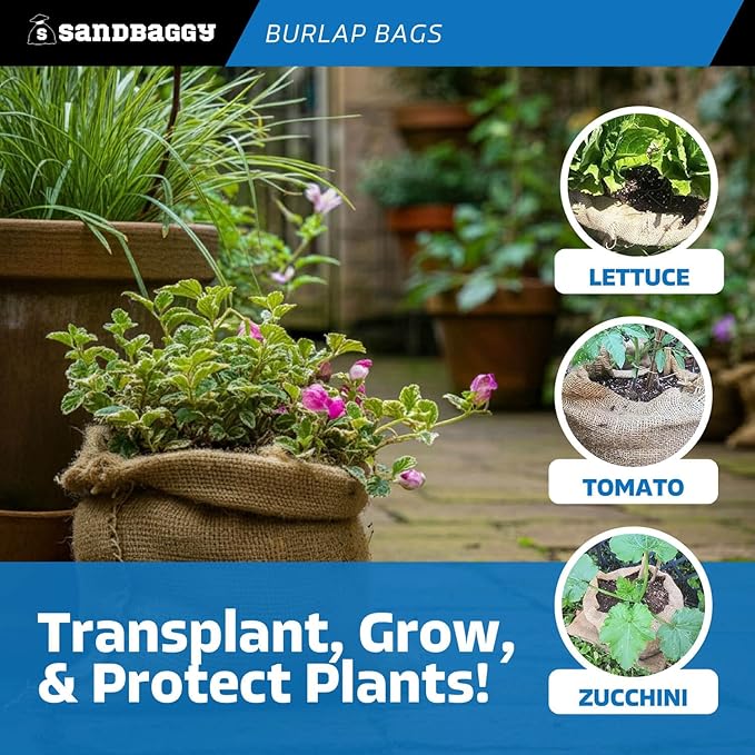 Burlap Bags 22" x 36" - Great for Planting/Gardening - Kids Sack Bag - Plant Covers - Food Grade - Sacks Burlap by Sandbaggy (Pack of 50)