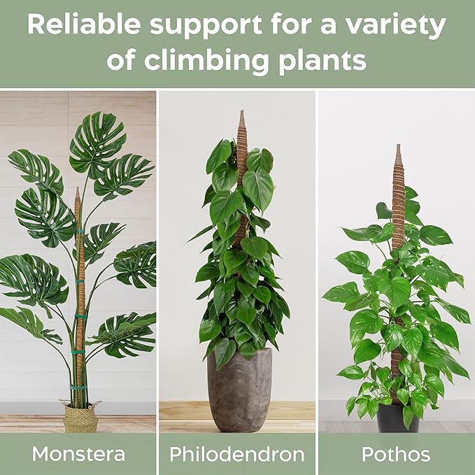 K-Brands 48'' Bendable Moss Pole Monstera Plant Support - Coconut Palm Fiber - Brown - Rectangular - Climbing Plant Support Structure
