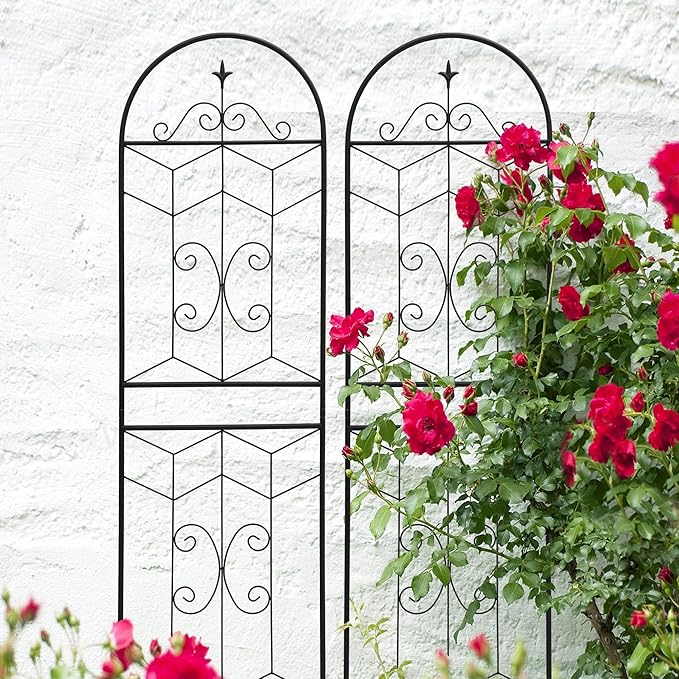4 Pack 71x20in Garden Trellises with Black Metal Coating, Trellis for Climbing Plants Outdoor, Roses, Vines, Flowers, and Vegetables.