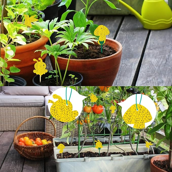 60 Pack Yellow Sticky Traps Fungus Gnat Sticky Traps, Gnat Traps for House Indoor Gnat Killer Indoor, House Plant Gnats Bugs Sticky Killer Fruit Fly Traps for Indoor